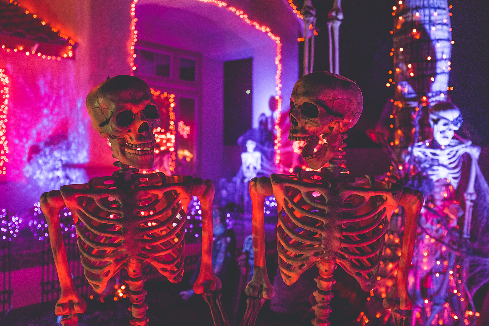 halloween cropped